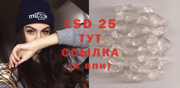 PSILOCYBIN Осинники