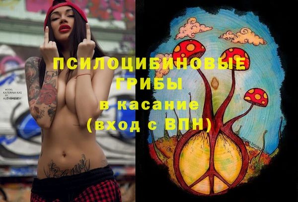 хмурый Осташков