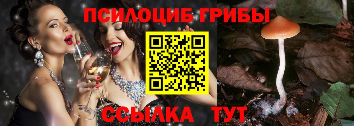 Галлюциногенные грибы Psilocybine cubensis  Галлюциногенные грибы мицелий  Вход с VPN  купить наркотик  Лиски 