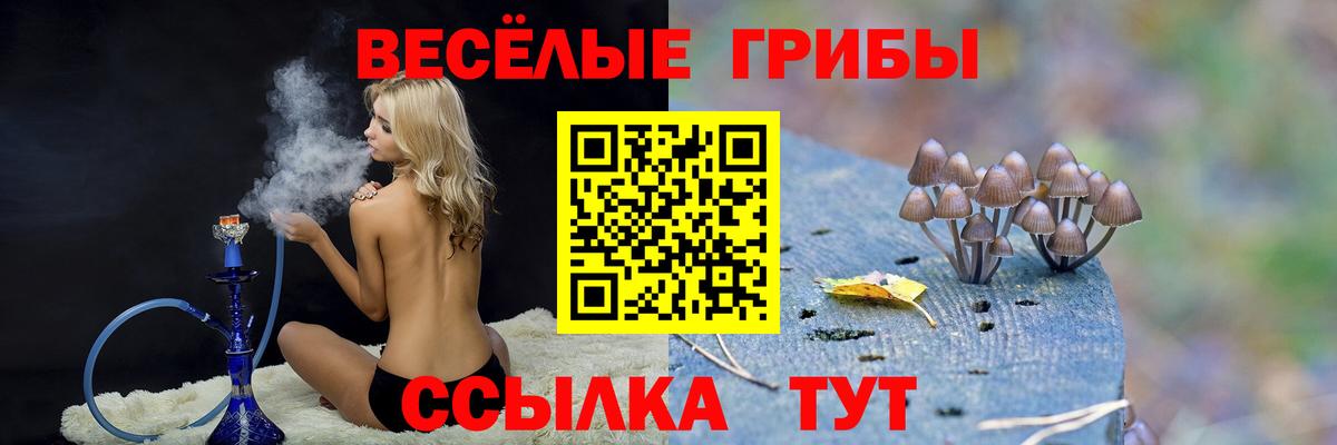 Лиски  Вход с VPN  МЕФ кристаллы  Каннабис  Меф  ГАШИШ  APVP СК  